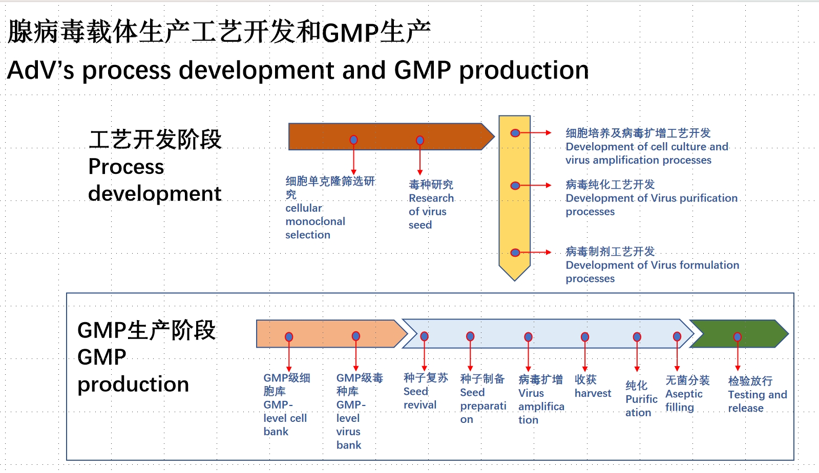 腺病毒开发和生产.png
